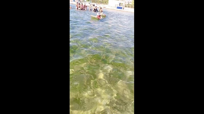 Евпатория: Сегодня в детском оздоровительном лагере "Лучистый" прошёл увлекательный…