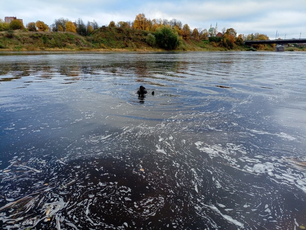 Водолазная Служба ВОСВОД Оказывает Содействие В Поисках Пропавшего Человека В Кингисеппском…