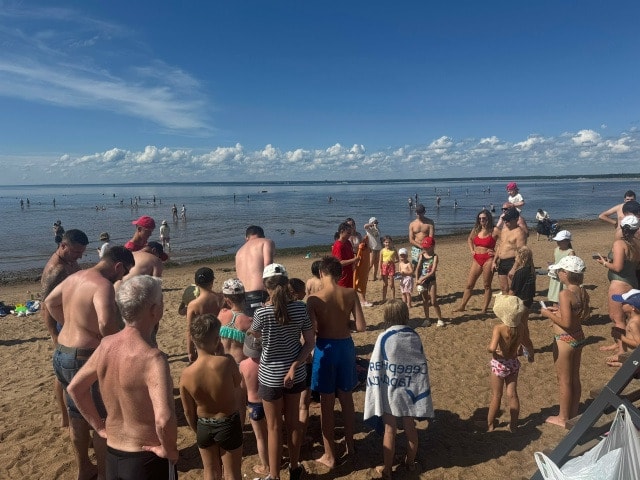 Дежурство: Пляж Дубковский