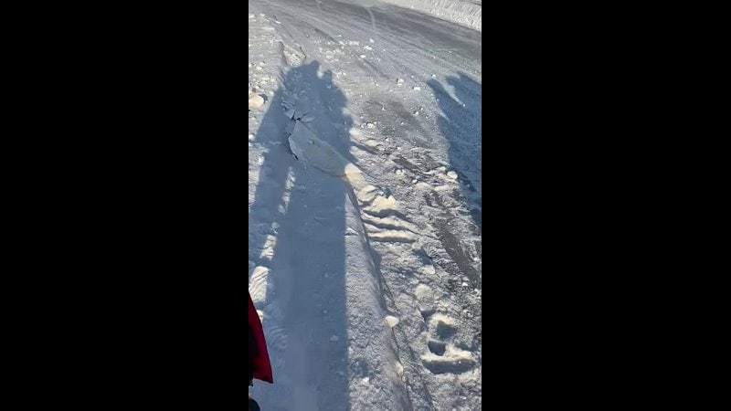 Сегодня, 22.02.2025г спасатели СвРОООО ВОСВОД обеспечивали безопасность на соревнованиях АНО…